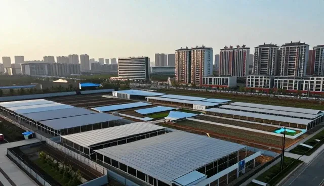 售后支持如何影响网络设备选型决策